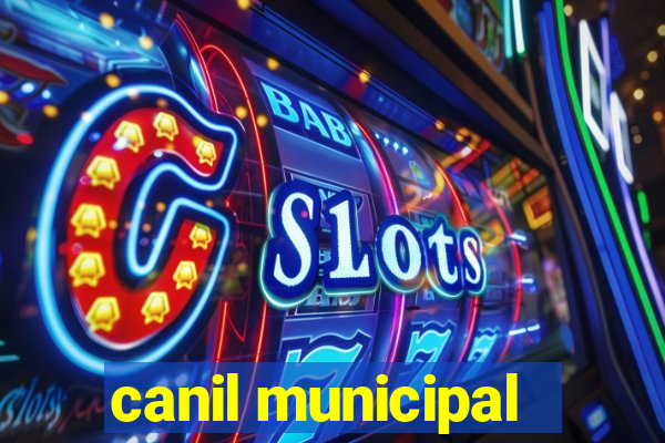 canil municipal